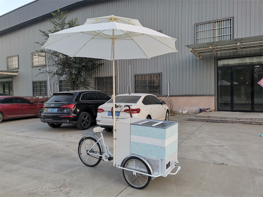 220V/380V 다기능 야외 아이스크림 자전거 카트 핫도그 음식 자전거 80kg 용량