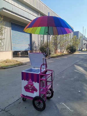 사용자 정의 아이스크림 푸시 카트 아이스크림 트롤리 모빌 음식 카트 우산