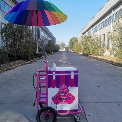 80L 냉장고와 함께 이동식품 사업용 아이스크림 푸시 카트