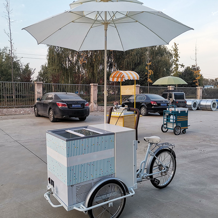 220V/380V 다기능 야외 아이스크림 자전거 카트 핫도그 음식 자전거 80kg 용량